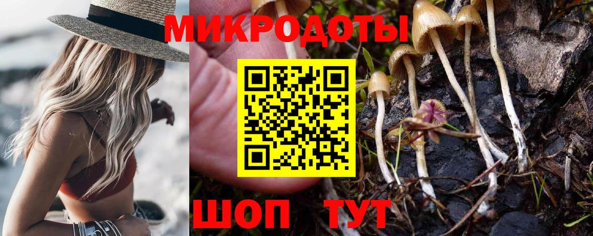Галлюциногенные грибы прущие грибы  Вход с VPN  Керчь  Псилоцибиновые грибы GOLDEN TEACHER 